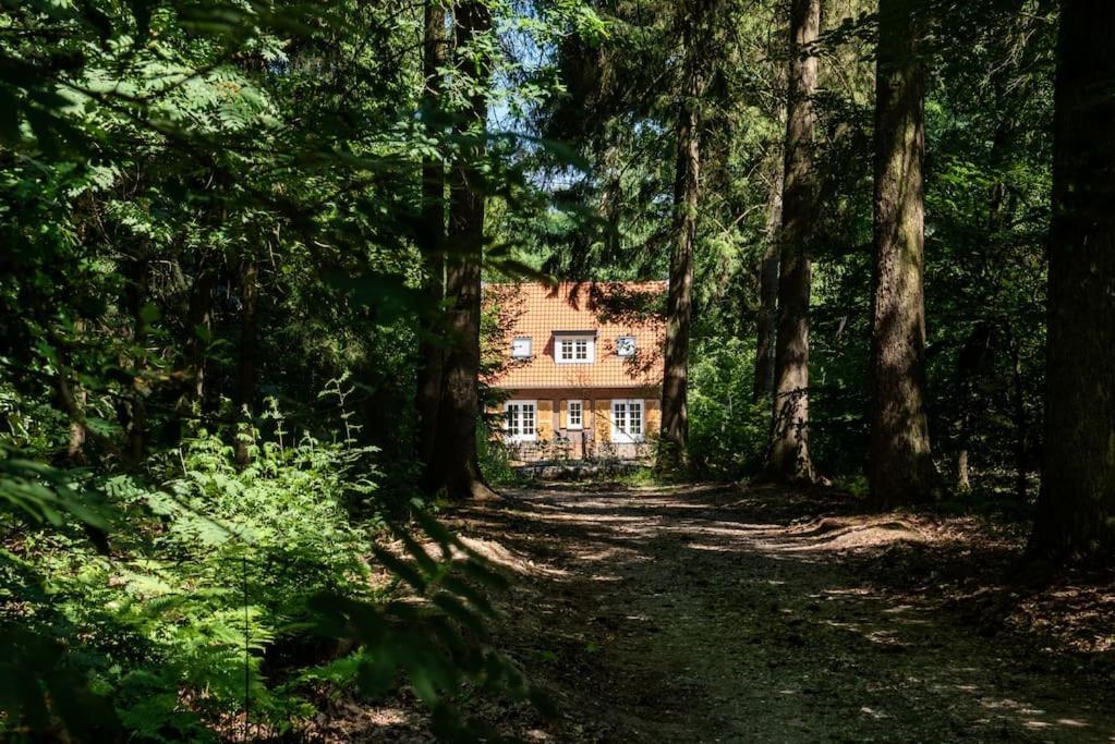 Fantastisch Familiehuis Met Grote Tuin I Bosrijk Lunteren Exterior photo
